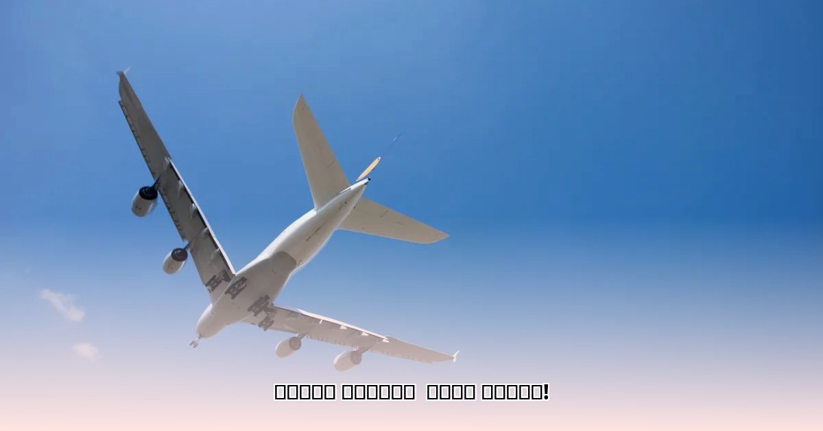 flight-cancellations-today